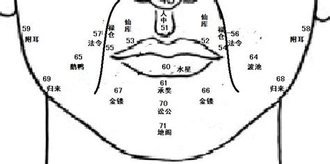 鼻子挺面相|麦玲玲面相讲座之 鼻子 – 人相学